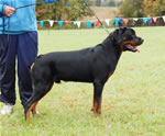 0104 Nikko V Drakkenfels P4