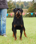 0108 Gentry Creeks Haden VP3