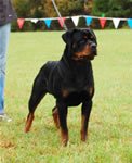 0109 Gentry Creeks Haden VP3