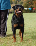 0506 Blazers Folker V Kayara G