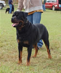 0536 Jager Vom Blaurasen V1