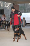 1329 Roxy Von Der Blockhutte V4