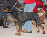 1352 Shanti Von Evman V