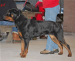 1354 Shanti Von Evman V