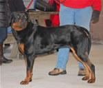 1355 Shanti Von Evman V