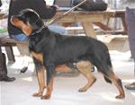 1263 Faith Von Ruelmann VP1