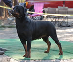 0011 Kostlich Your A Rainbow Von Ursa V3