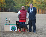 0237 Best Female Puppy Bruna Vom Vollenhaus 4-6 Mth VP1