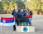 0175 Bilalian Acres Northern Dancer Veterans V1