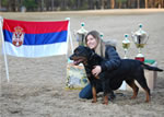 0200 Siegerin Atina Von Hause Kigen Open Females V1