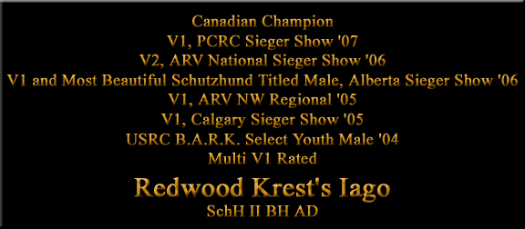 Redwood Krest's Iago, Rick von Burgthann son, rottweiler stud dog