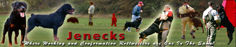 Jenecks Rottweilers located in Washington