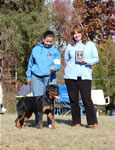 6-9 Females Kara Vom Drakkenfells VP4 0881