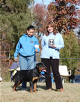 6-9 Females Kara Vom Drakkenfells VP4 0883