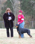 18-24 MONTH FEMALES: 18-24 Females Tiara Von Evman SG2 1088