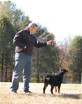 4-6 MONTH FEMALES: 0741 Darkstarrs Easy