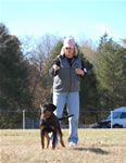 4-6 MONTH FEMALES: 0747 Laika Vom Weisselfenbein P