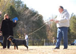 4-6 MONTH FEMALES: 0757 Darkstarrs I Aint Easy VP1