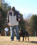 4-6 MONTH FEMALES: 0760 Arisa Von Der Stark P