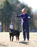 4-6 MONTH FEMALES: 0767 Darkstarrs Easy On The Eyes VP