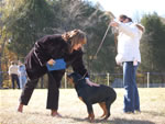 4-6 MONTH FEMALES: 0782 Girs Jule Von Warterr VP4