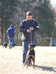 4-6 MONTH FEMALES: 0785 Imagine Barton Von Evman VP