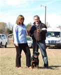 4-6 MONTH FEMALES: 4-6 Females Darkstarrs Easy To Flirt VP2 0797