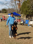 6-9 MONTH FEMALES: 0826 Kara Vom Drakkenfells VP4