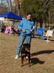 6-9 MONTH FEMALES: 0827 Kara Vom Drakkenfells VP4