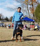 6-9 MONTH FEMALES: 0832 Kara Vom Drakkenfells VP4