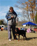 6-9 MONTH FEMALES: 0837 Krista Vom Krakkenfels VP