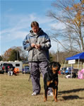 6-9 MONTH FEMALES: 0838 Krista Vom Krakkenfels VP