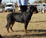 6-9 MONTH FEMALES: 0861