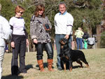 OPEN FEMALES: 1446 Darkstarrs De Ja Vu V2 Open Females