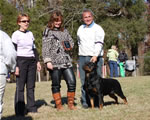 OPEN FEMALES: 1467 Darkstarrs De Ja Vu V2 Open Females