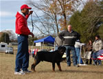 12-18 MONTH MALES: 0907 Karriems Tzar SG1