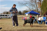 12-18 MONTH MALES: 0919 LL Guns N Roses Von Kayara SG2