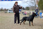 18-24 MONTH MALES: 18-24 Males Xaimon Von Hause Sommer G 1008
