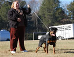 6-9 MONTH MALES: 0696 Muck Vom Blaurasen P1
