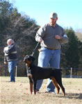 6-9 MONTH MALES: 0699 Fitzhugh Von Der Amell P2