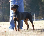 6-9 MONTH MALES: 0701 Fitzhugh Von Der Amell P2