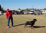 CHAMPION MALES: 1237 Karriems Power Player V1