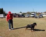 CHAMPION MALES: 1238 Karriems Power Player V1