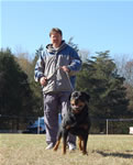 CHAMPION MALES: 1266 ADamien Von Drakkenfels V2