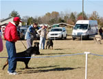 CHAMPION MALES: 1280
