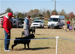 CHAMPION MALES: 1281