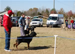 CHAMPION MALES: 1282