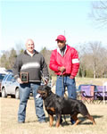 CHAMPION MALES: 1295 Karriems Power Player V1 Champion Males