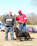 CHAMPION MALES: 1298 Karriems Power Player V1 Champion Males