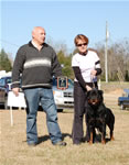 OPEN MALES: 1184 Darkstarrs Living Legend V1 Open Males